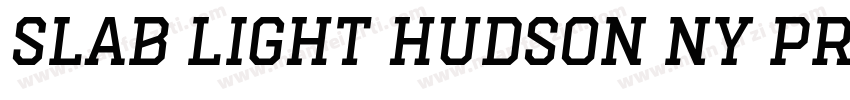 Slab Light Hudson NY Pro字体转换